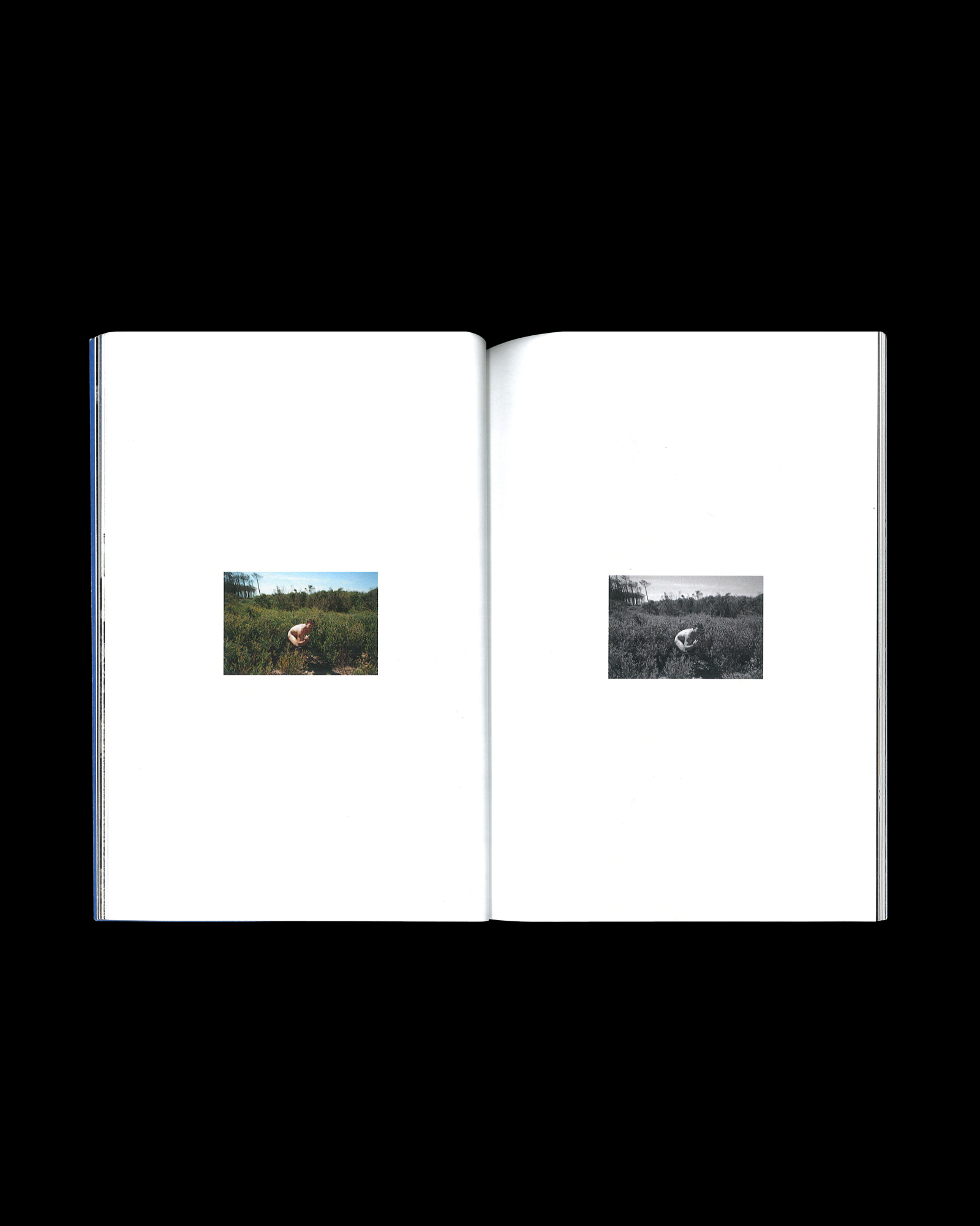Uncrowded — Marco da Silva