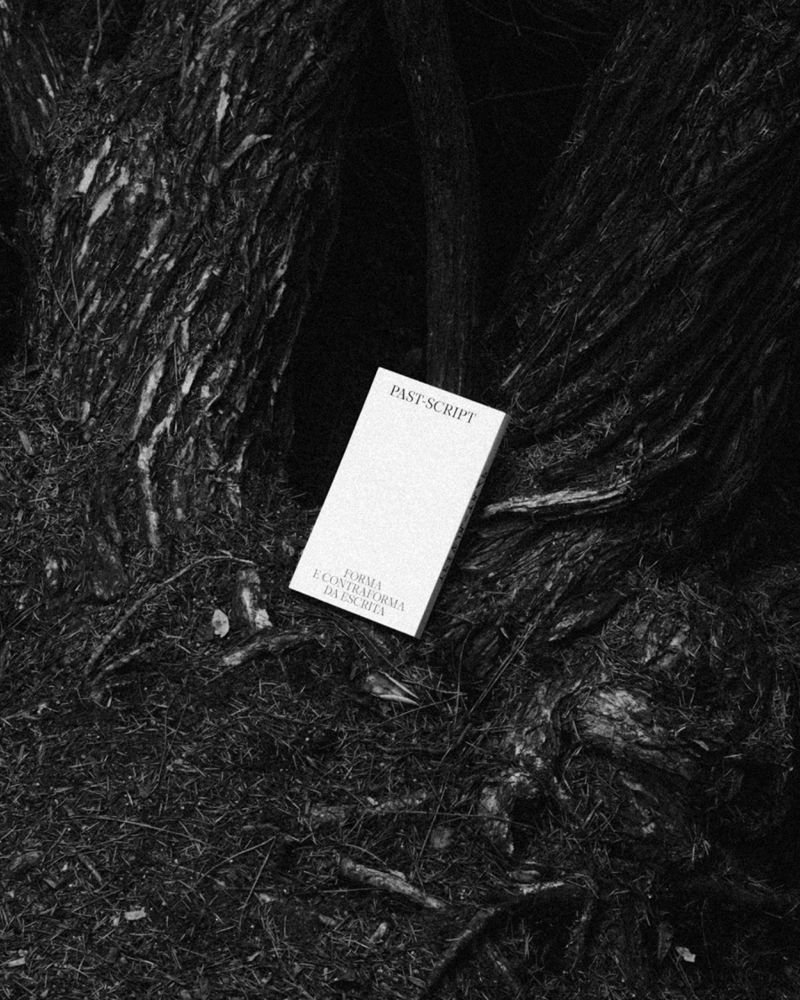 Past-Script